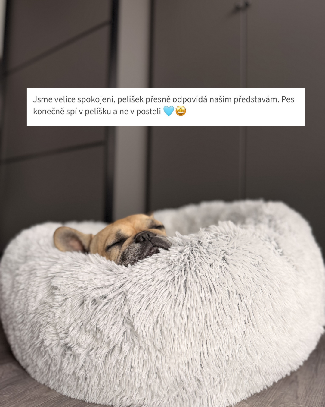 Kopie návrhu Chlupaté pelíšky  - 2